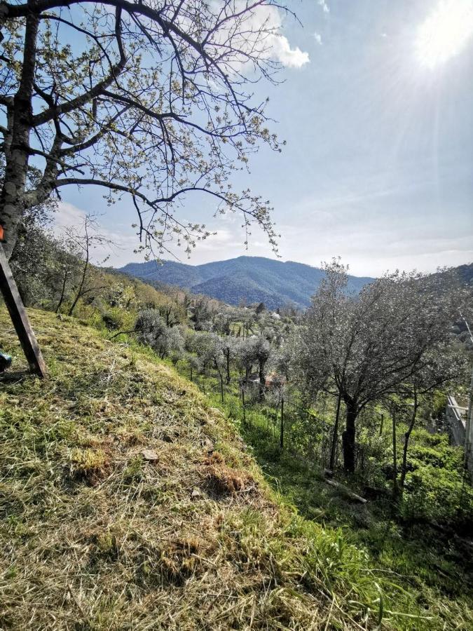 L'Angolo Del Levante -Monolocale Ligure дева Марина Экстерьер фото